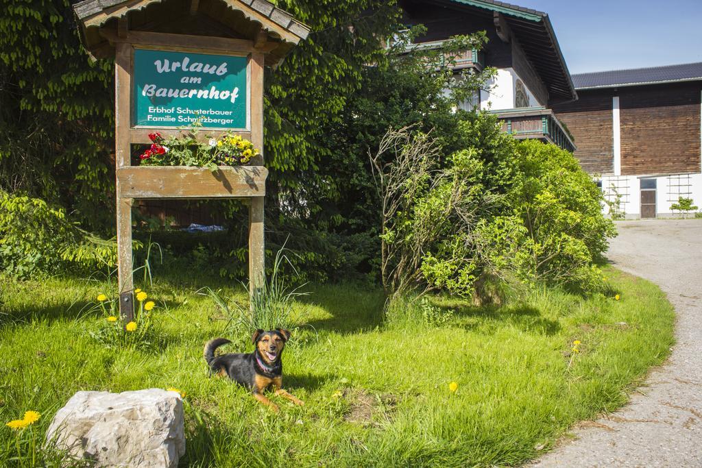 Vila Schusterbauer Koppl Exteriér fotografie